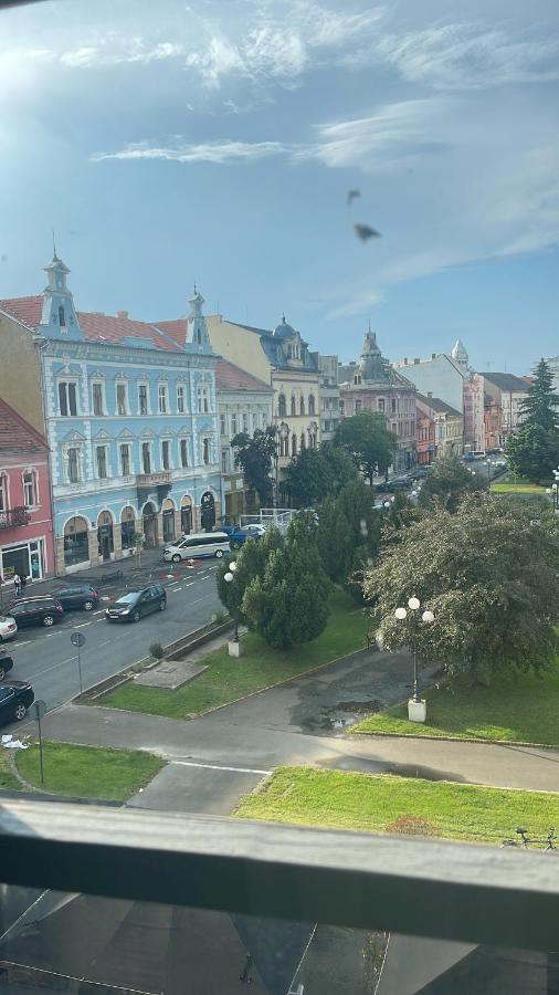 Cozyflat In The Central Arad Esterno foto
